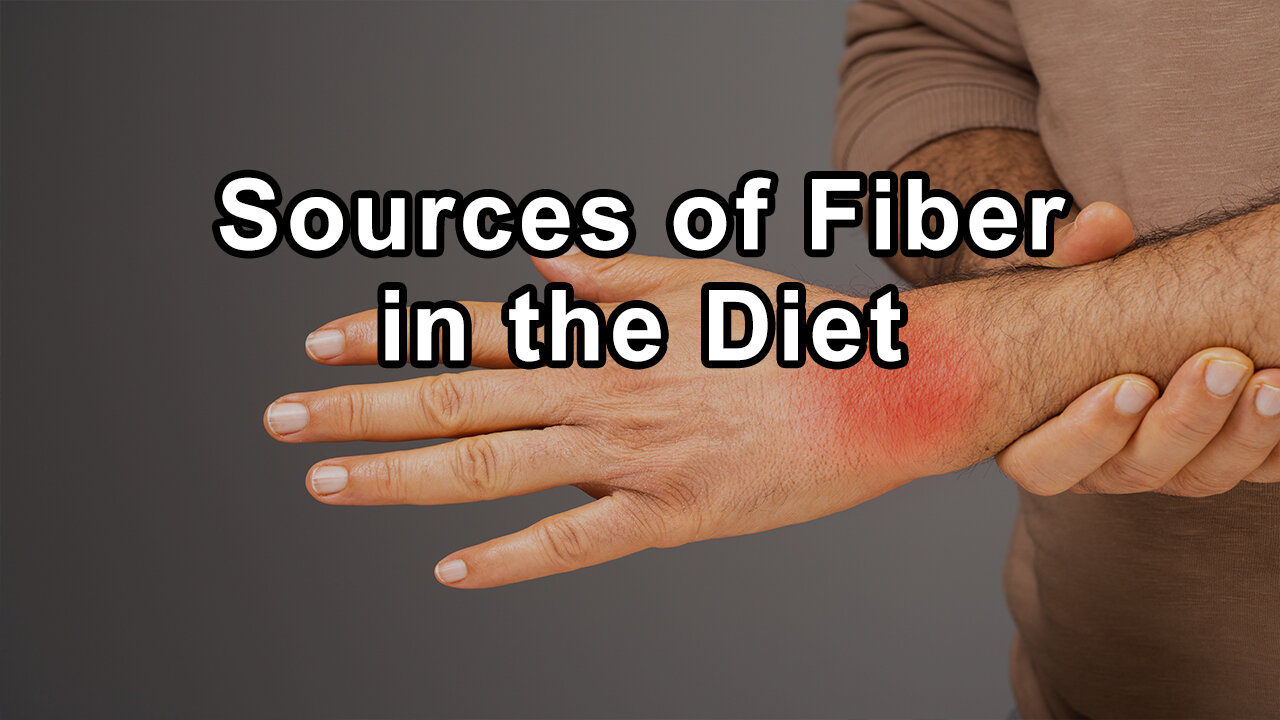 Dr. Jyothi Rao Discusses the Significance of Diverse Sources of Fiber in the Diet, Probiotics