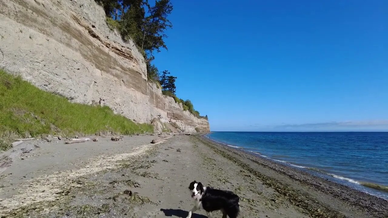 A Walk Along The Salish Sea Far West USA