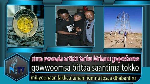 ETHIOPIA:NEST TV:sirna awwaala artistii tariku birhanu gageefamee /gowwoomsa bittaa saantima tokko