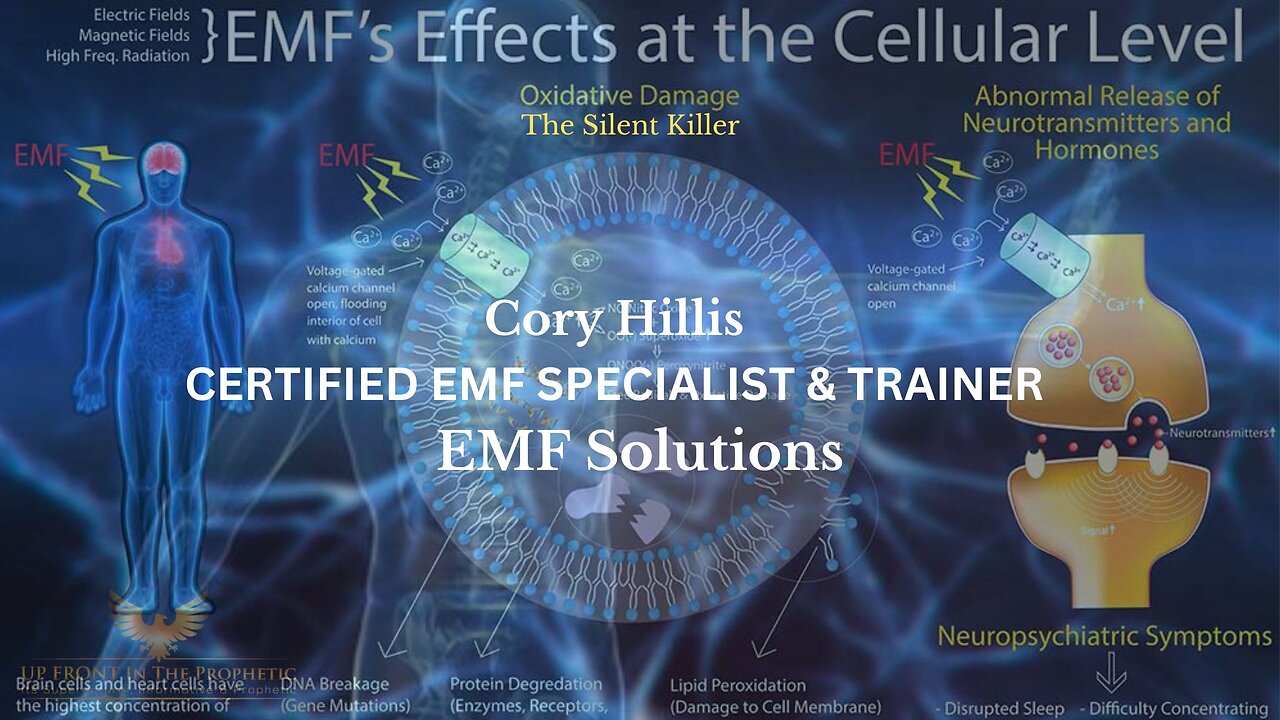 Cory Hillis ~ EMF (5G) Effects at the Cellular Level .....Here is the Solution!!