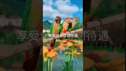 开悟堂世界公民频道 2020.3.30