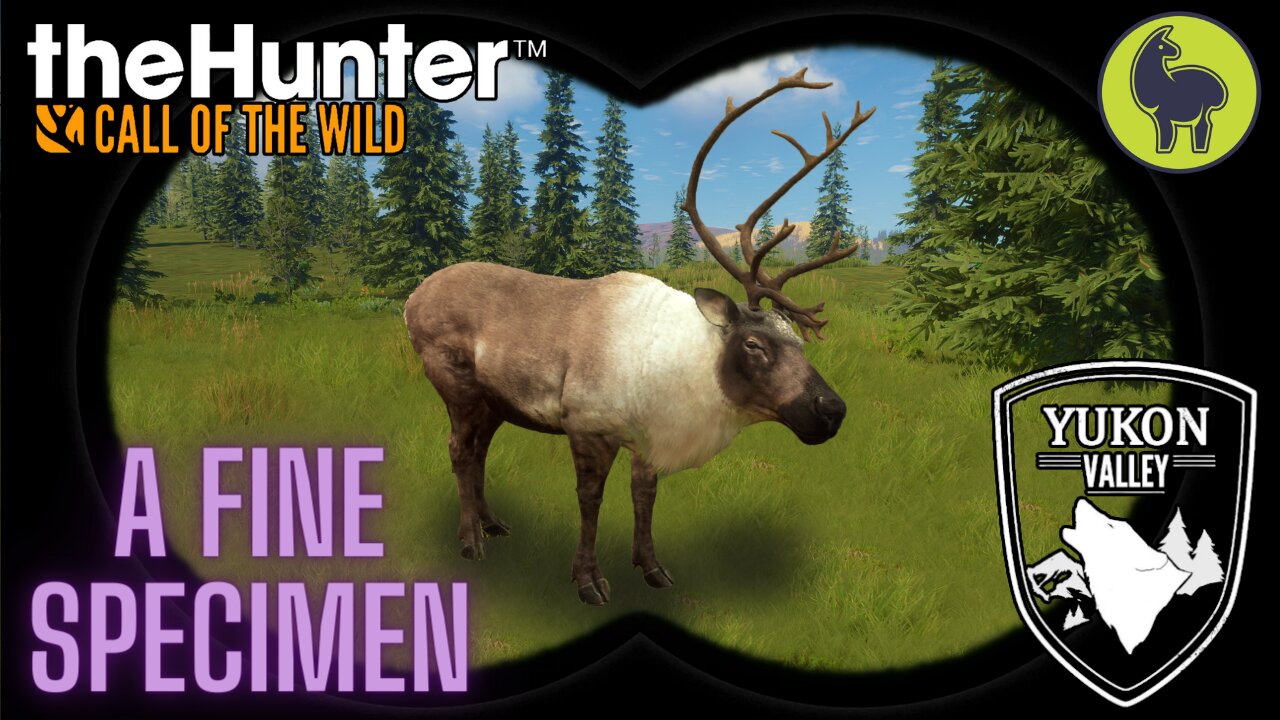 A Fine Specimen, Yukon Valley | theHunter: Call of the Wild (PS5 4K)