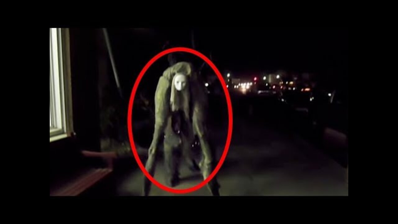 Top 6 Weird Human Like Trees Captured On Camera