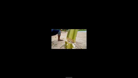 fanny video