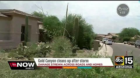 Downburst winds likely caused Gold Canyon damage