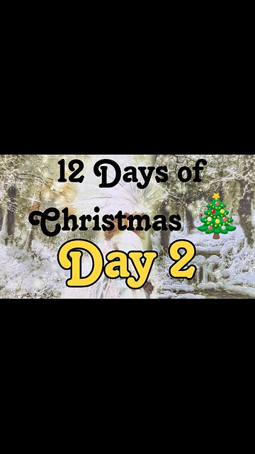 12 Days of Christmas - day 2 Butterfly Insightful Daily Tarot