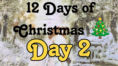 12 Days of Christmas - day 2 Butterfly Insightful Daily Tarot