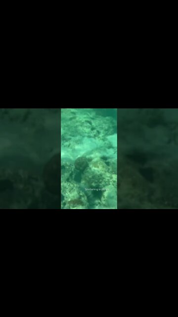 Snorkelling in phi phi