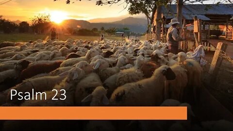 Sunday AM Service: Psalm 23