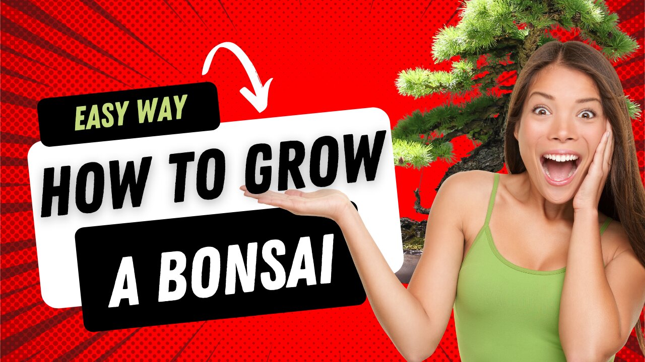 BONSAI FOR BEGINNERS [EASY WAY] - HOW TO GROW A BONSAI