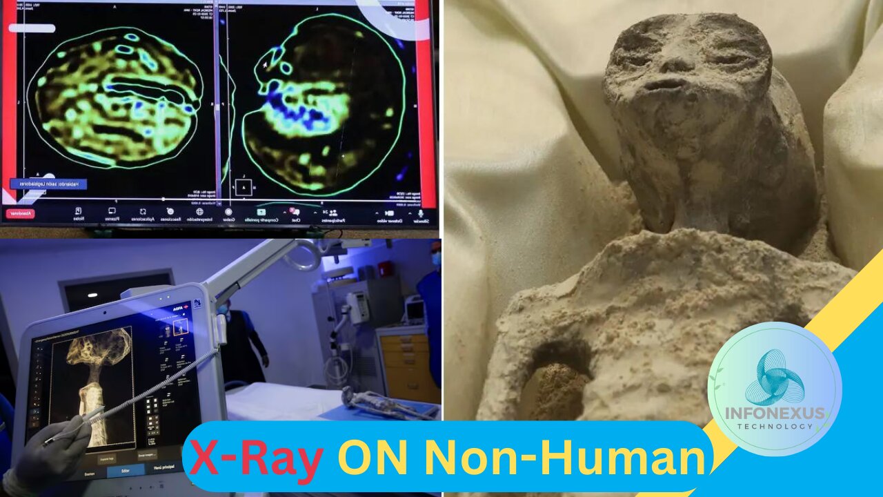 "Mexican UFO Expert Conducts X-Rays on 'Non-Human' Beings Presented at Congress"