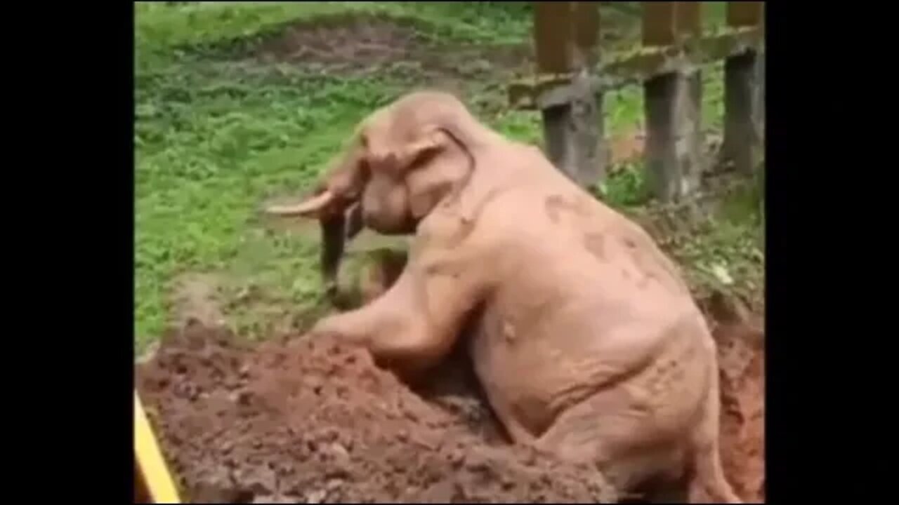 Thanking those who help