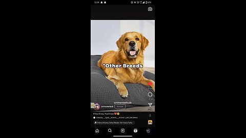Love video s