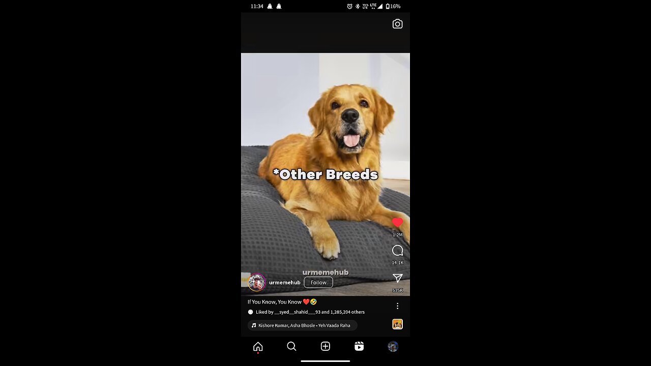 Love video s