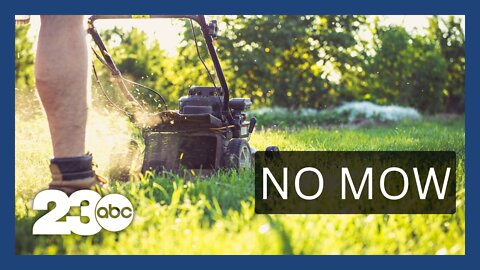 Why there's a culture war happening on your lawn