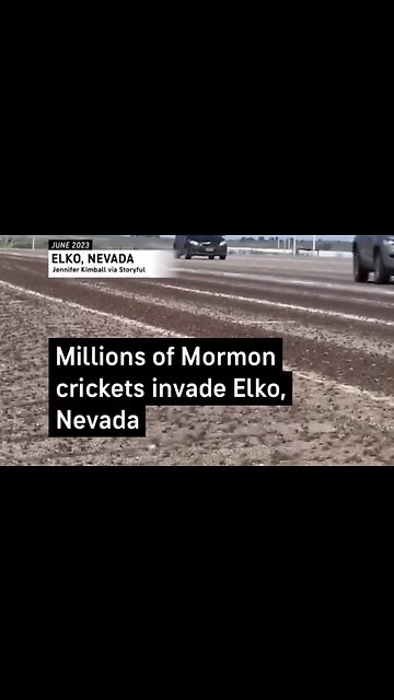 Millions Of Crickets Descend Upon 6 Counties In Nevada
