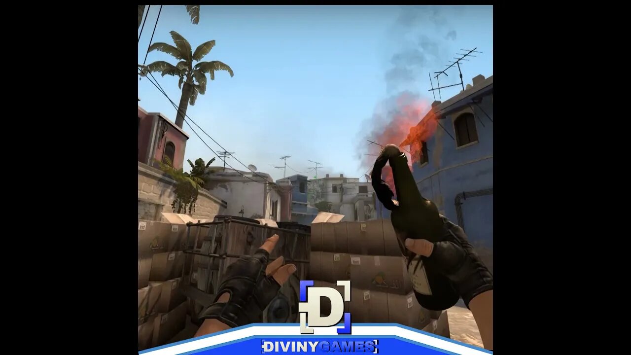 Molotov Janelão da Carroça | MIRAGE #shorts
