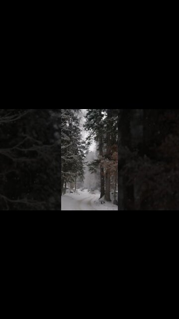 Best Relaxing Sound & Videos | Snowfalls | #shorts