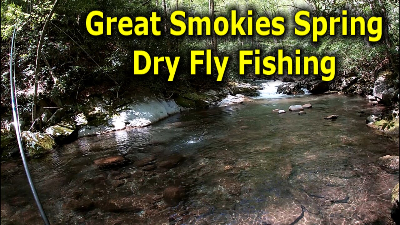 Great Smokies Fly Fishing Crowd Control