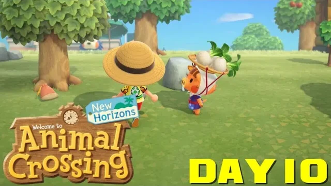 Animal Crossing New Horizons Day 10 - Nintendo Switch Gameplay 😎Benjamillion