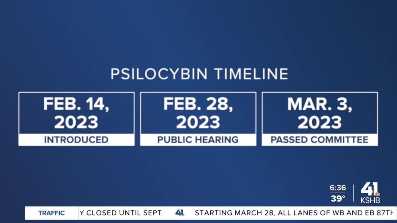 Missouri Legislature debates bill proposing trial of medical mushroom effects on veterans