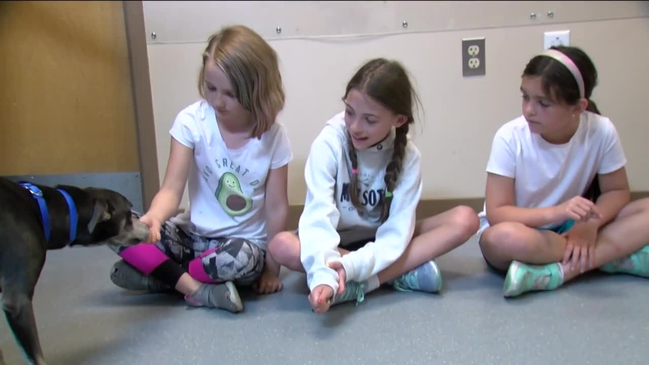 The Wisconsin Humane Society is the purr-fect place for kids