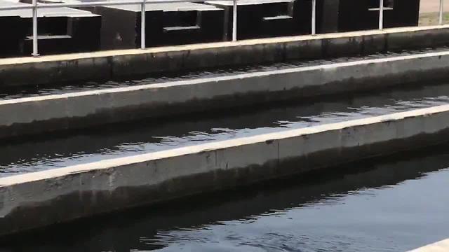 St. Pete Public Works addresses wastewater overflow