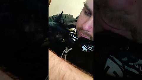 My kitty lumps #shortsvideo #shortsfeed #cat #kitty #catlover #kittycat #catshorts #youtubeshorts