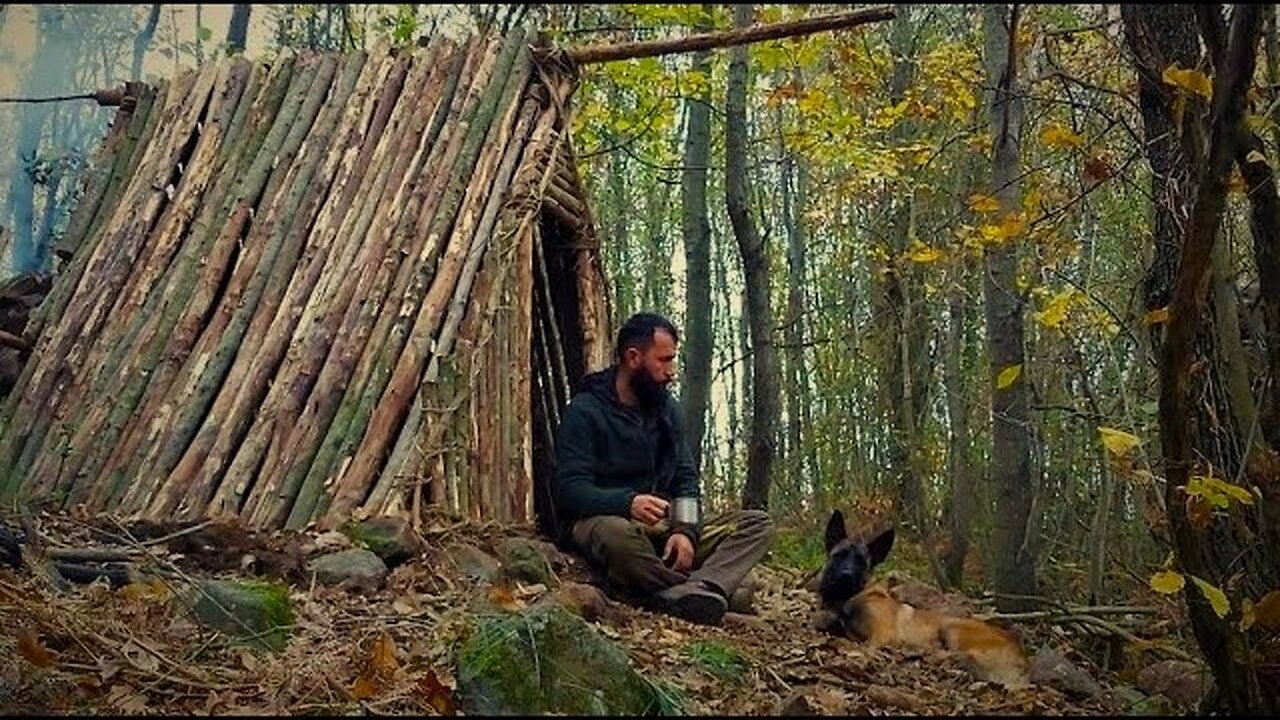 Camp: Fireplace inside, Primitive Shelter Build with Hand Tools, Log Cabin, Wild Camping