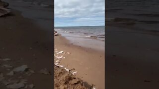 Canadian beaches are the best