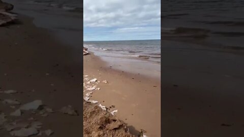 Canadian beaches are the best