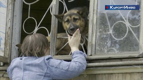 Сотрудники частного приюта для животных призывают горожан к гуманному обращению