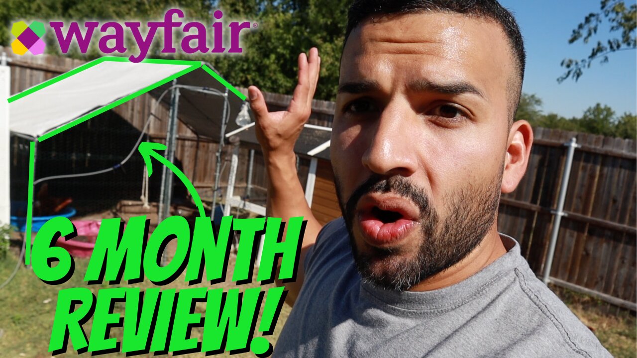 Wayfair Chicken Run 6 Month Review