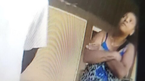 True Freeman Audio of His Arrest Donna wont shut up