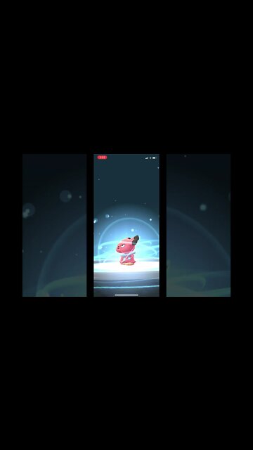 Pokémon Go - Snubbull Evolving Into Granbull Showcase #Shorts