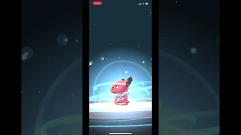 Pokémon Go - Snubbull Evolving Into Granbull Showcase #Shorts