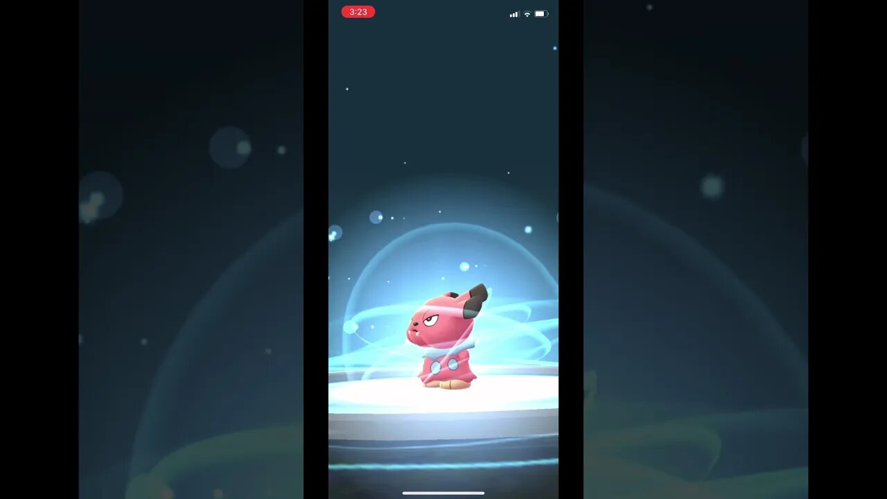 Pokémon Go - Snubbull Evolving Into Granbull Showcase #Shorts