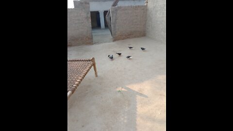 Yahoo and then I can get it I have been trying a