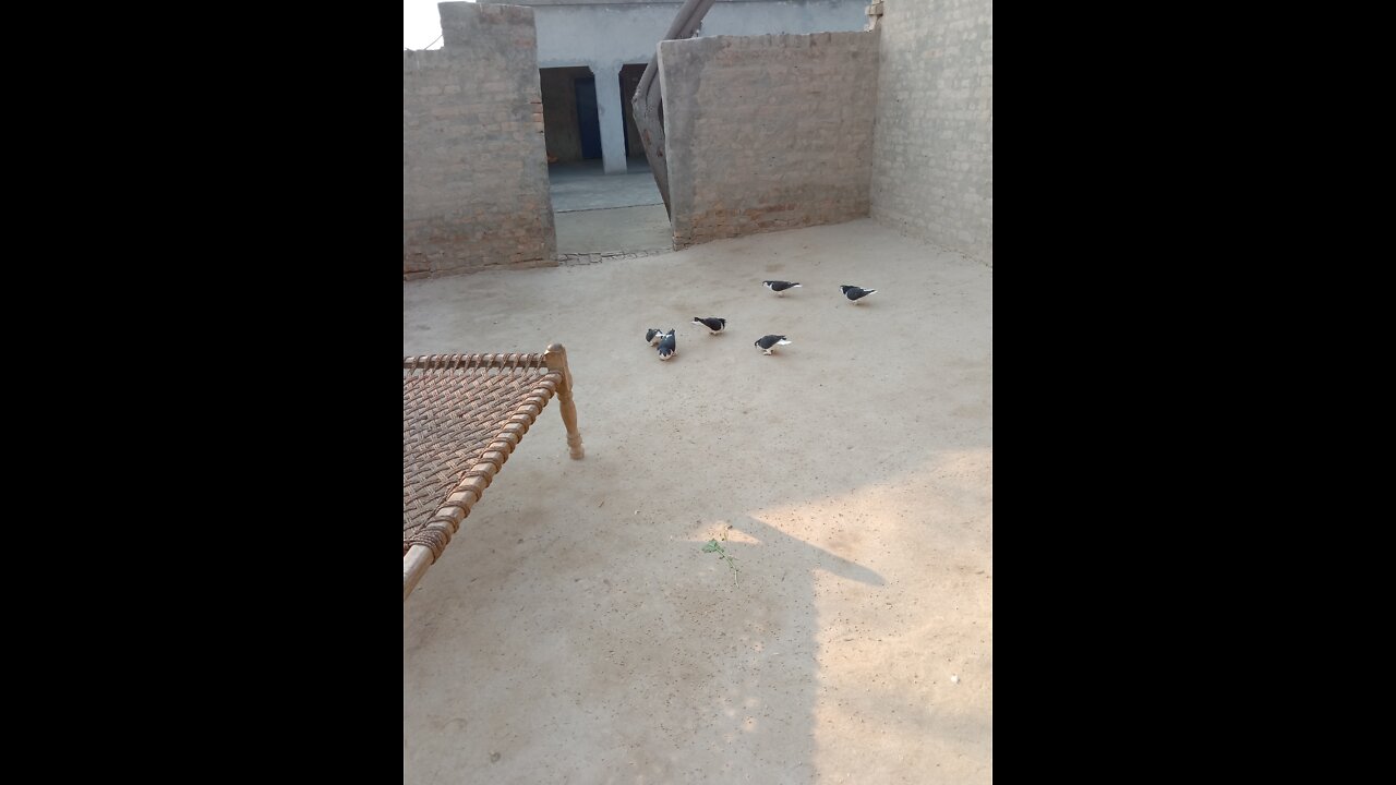 Yahoo and then I can get it I have been trying a