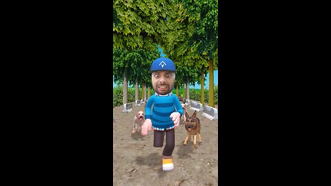 Dogs Running 😄😄