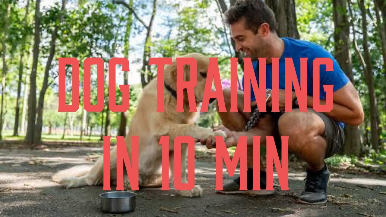 DOG TRAINING IN 10 MINUTES