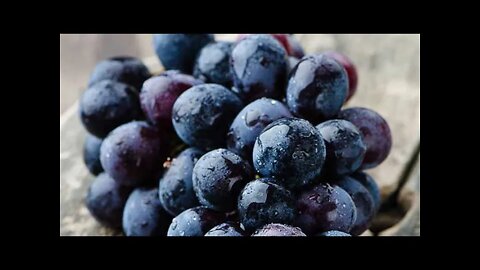 Prayers in PALEO HEBREW #64: PRAYER FOR THE VINE 🍇