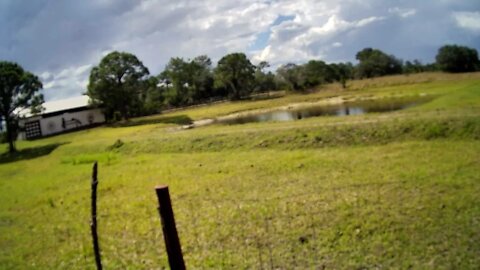 Friday afternoon @ Venus Ranch.