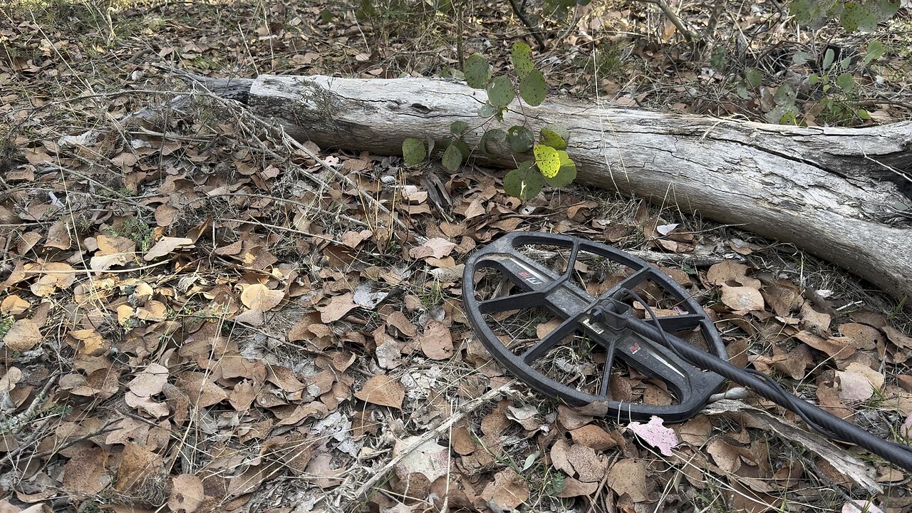 Key To Treasure Metal Detecting