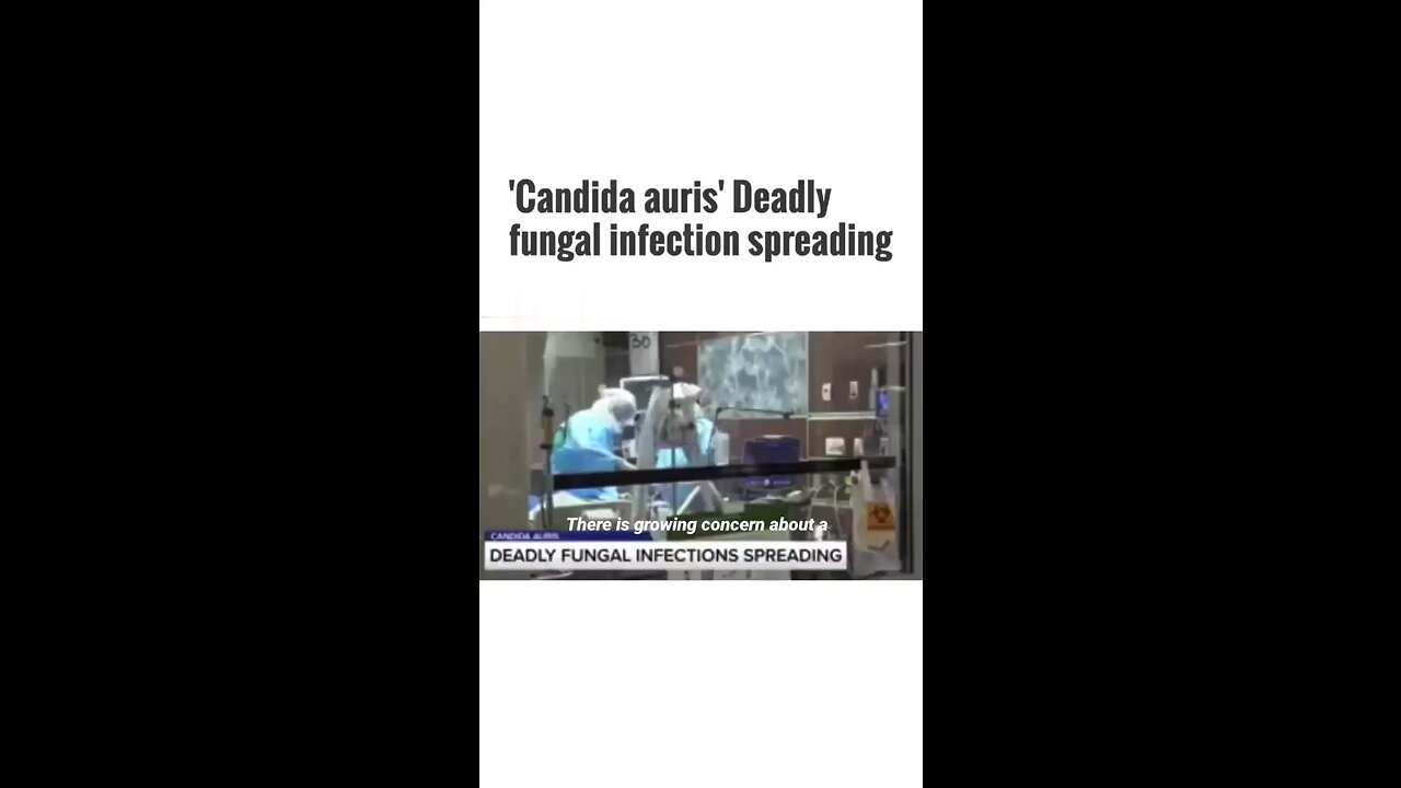 Candida Auris