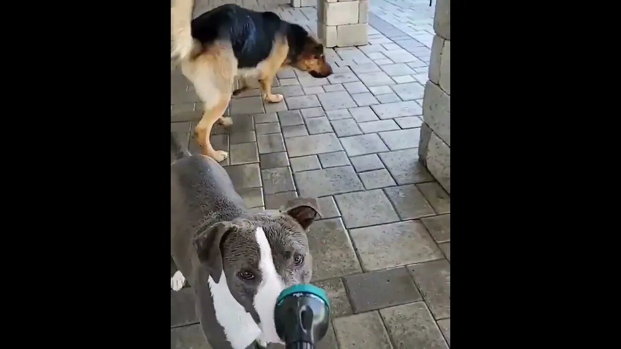 Water time