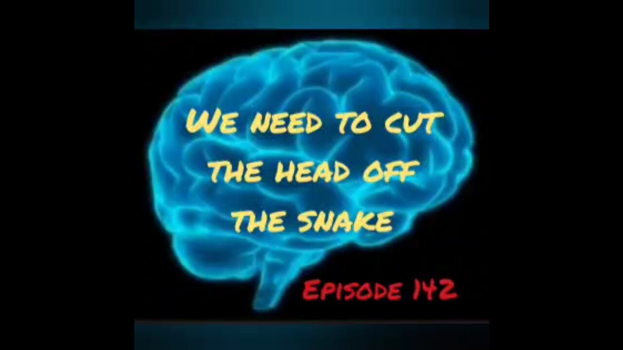 WE NEED TO CUT THE HEAD OF THE SNAKE Episode 142 with HonestWalterWhite