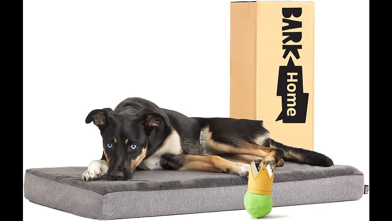 Review Barkbox Memory Foam Platform Dog Bed, Plush Mattress for Orthopedic Joint Relief, Machin...