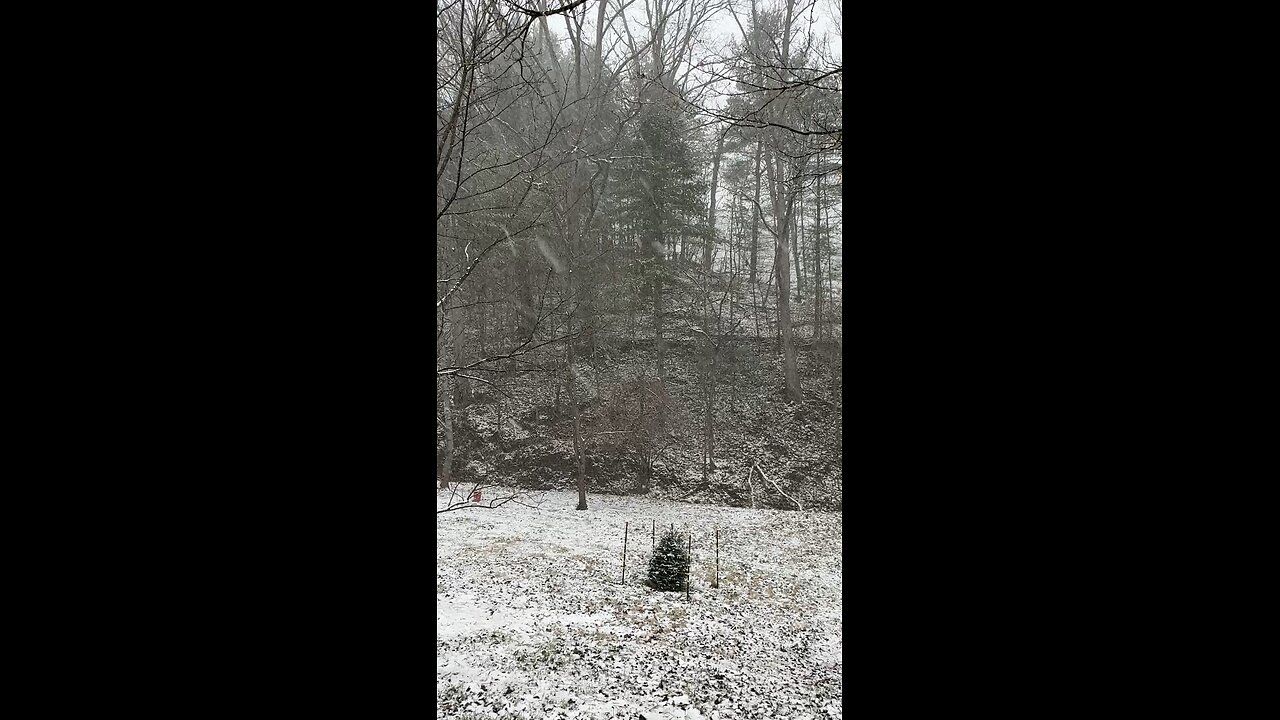 Beautiful Snow Falling on the Homestead