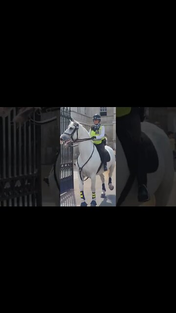 the same police officer that grabed the tourist by his backpack #horseguardsparade